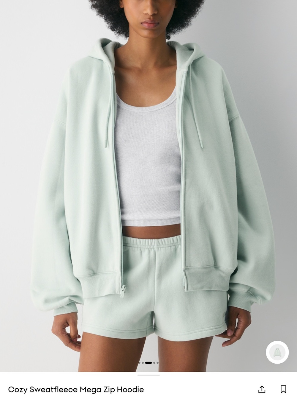 Aritzia Mega Zip Hoodie